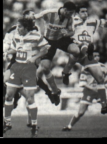 un grand buteur.jpg (39014 octets)